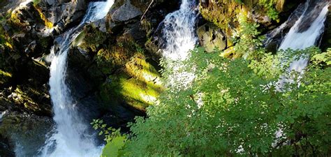 Photos Of Sol Duc Falls Nature Trail Washington Alltrails