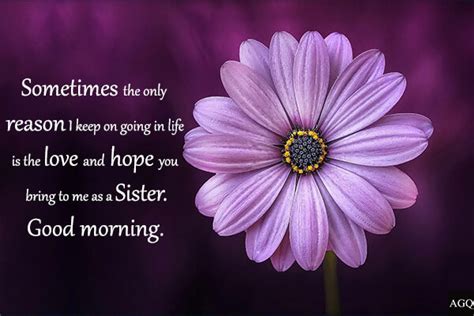 Top 156 Good Morning Sister Images And Quotes