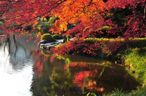 10 Gorgeous Autumn Foliage Spots in Tokyo - Savvy Tokyo