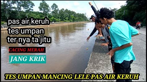 TES UMPAN MANCING LELE JANGKRIK AMA CACING MERAH TERNYATA GACOR CACING