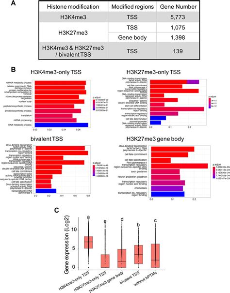 Frontiers Chip Seq Profiling Of H K Me And H K Me In An Invasive