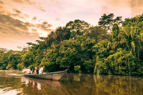 Volver al paraíso La Reserva Nacional Tambopata se reabrirá desde