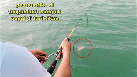 Pesta Strike Mancing Di Tengah Laut Tempat Nya Ikan Besar Dan Lezat