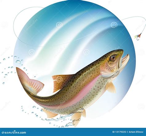 Jumping Trout Stock Vector Illustration Of Blue Bait 13179225