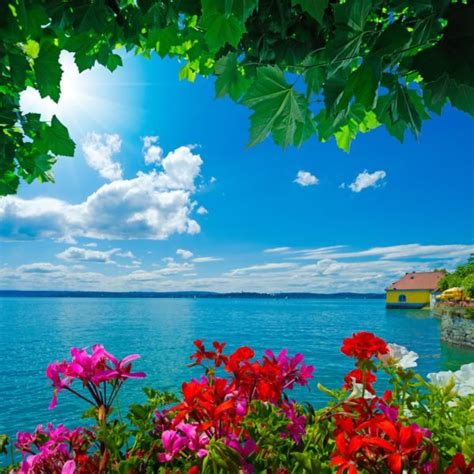 blooming_waters_detail – Print A Wallpaper