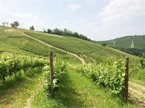 Terreni Agricoli In Vendita A Monforte D Alba Casa It