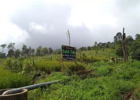 Menikmati Keindahan Alam Nganjuk Dengan Berwisata Di Bukit Salju Ngetos