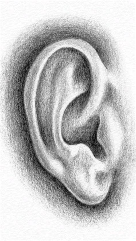 Ear Resistible Sketch A Stunning Pencil Drawing Of An Ear Arte