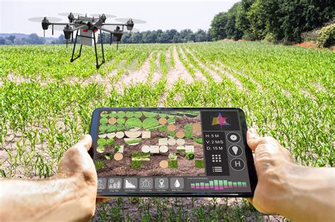 Agricultura Inteligente Se Fortalece Con Tecnología Y Automatización