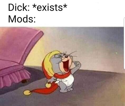Mods Gay R Dankmemes