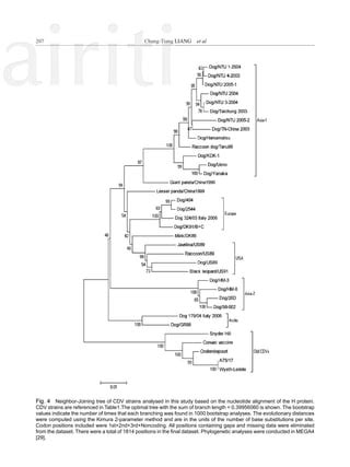 Phylogenetic Analysis And Isolation Of Cdv Pdf