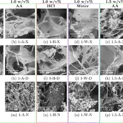 Scanning Electron Micrographs Of Collagen Scaffolds Produced At Varying