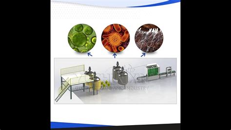 Feedback Of Bio Liquid Fertilizer Production Line Youtube