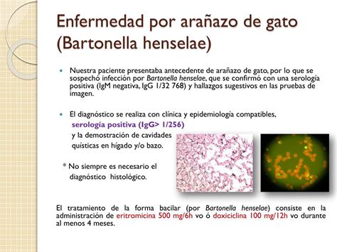 Ppt Peliosis Hepato Espl Nica En Paciente Inmunocompetente Powerpoint