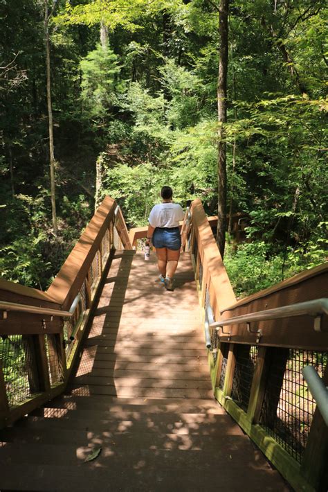 Devils Millhopper Geological State Park Visit Natural North Florida