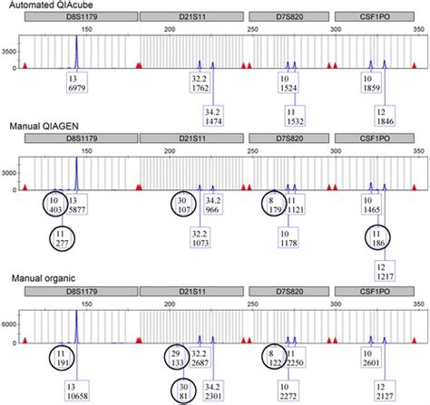 Full Article Improved Resolution Of Mixed Str Profiles Using A Fully