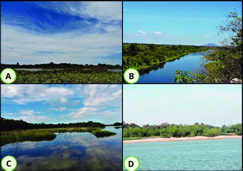 Lentic A B And C And Lotic D Freshwater Ecosystems Sampled For