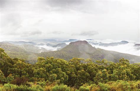 Nsw Woodland Environments Nsw National Parks