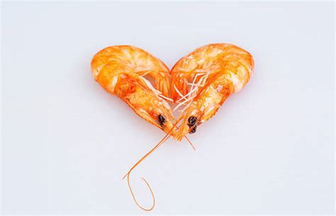 Best Heart Shaped Shrimp Stock Photos, Pictures & Royalty-Free Images