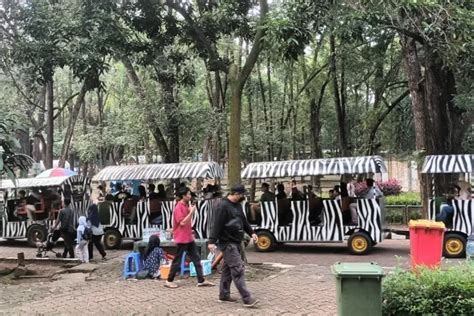 Soal Larangan Merokok Di Area Taman Margasatwa Ragunan Humas Sudah