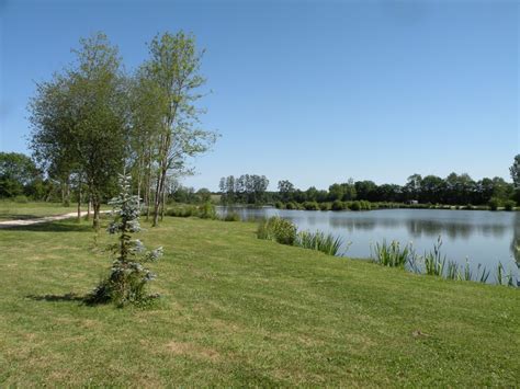 L Etang Etang De La Basse Morliere