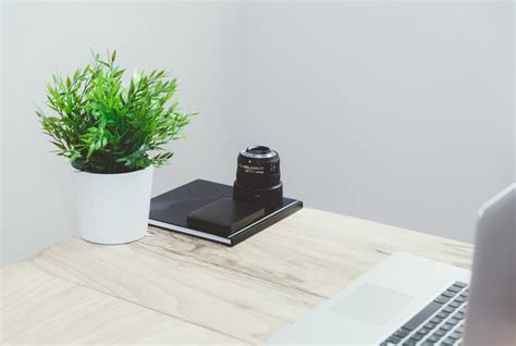 Need Some New Desk Decor? The 5 Best Office Desk Plants