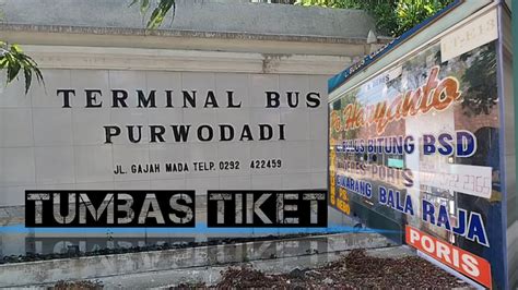 TUMBAS TIKET DI TERMINAL PURWODADI NUMPAK BIS PO HARYANTO YouTube