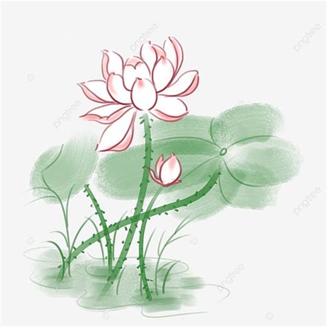 Ink Lotus Hd Transparent Hand Painted Ink Lotus Lotus Leaf Png Free