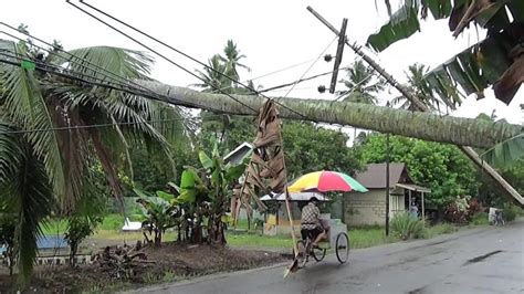 Angin Kencang Tumbangkan Pohon Hingga Gangguan Listrik