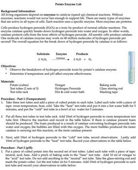 Potato Enzyme Laboratory By Scott Brady TPT