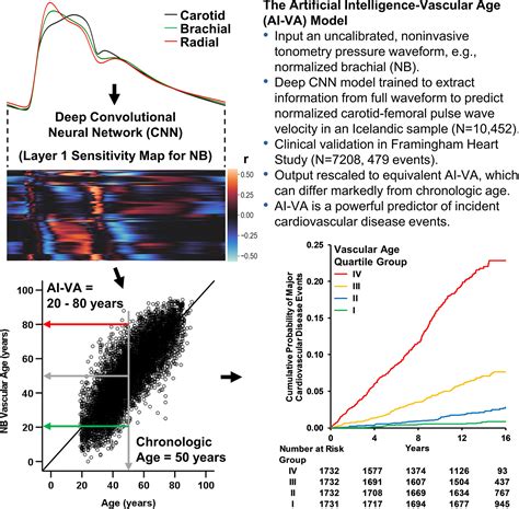 Vascular Age Assessed From An Uncalibrated Noninvasive Pressure
