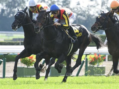 【ajcc出走馬決定順】フルゲートちょうどの17頭が登録 菊花賞2着アリストテレスなど 競馬ニュース Netkeiba