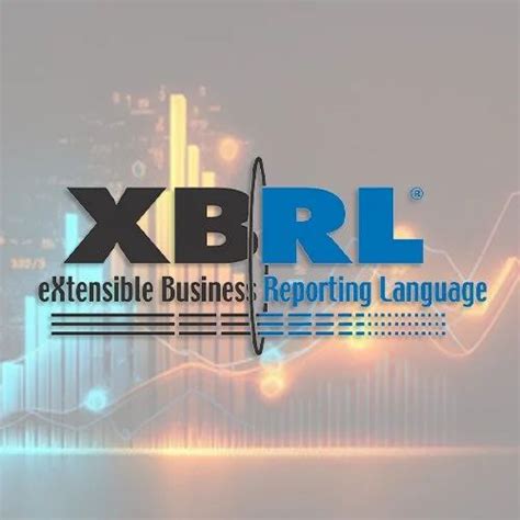 XBRL Conversion Services in Bengaluru | ID: 13680990130