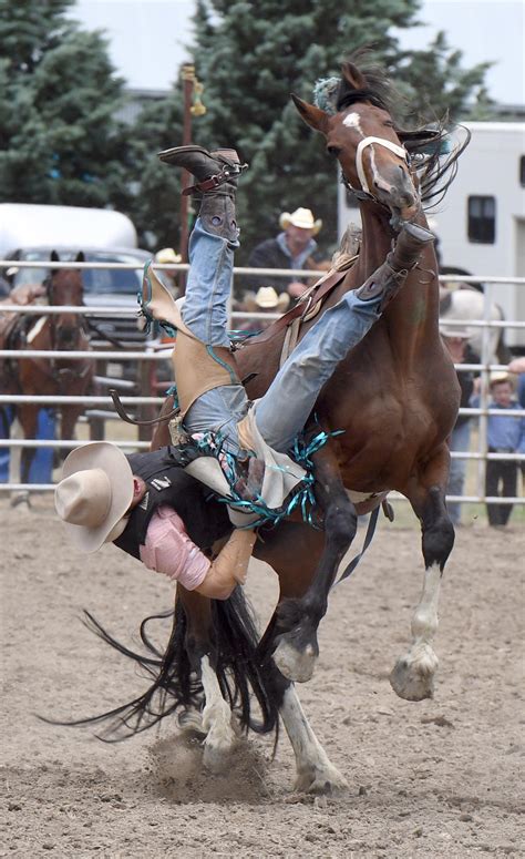 13m In Acc Claims For Rodeo Injuries Otago Daily Times Online News