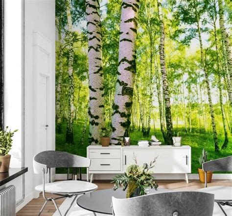 Birch Tree Wallpaper Wall Murals Wallsauce UK