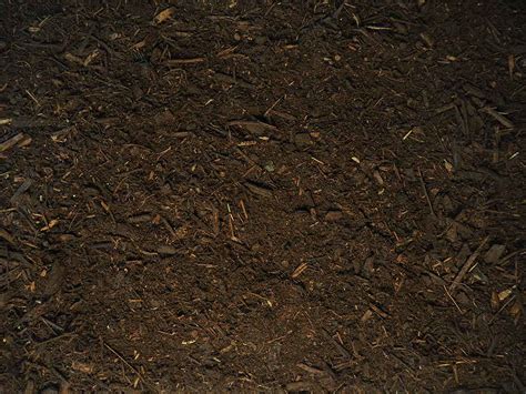 Forest Mulch