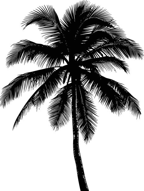 Ai Generated Silhouette Coconut Tree Black Color Only 36891569 Vector