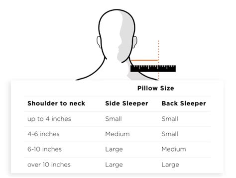 How do I know what size Neck Pillow to purchase? – Tempur-Pedic