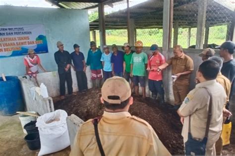 DKPP Belitung Latih Petani Membuat Pupuk Organik ANTARA News