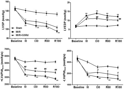 Ginsenoside Rd Improves Rat Cardiac Function After Minutes Ischemia