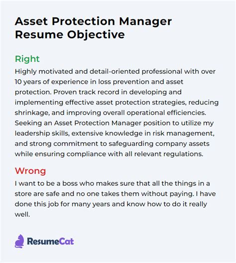 Top 18 Asset Protection Manager Resume Objective Examples