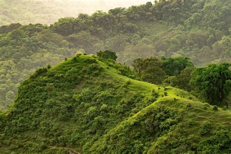 Discover The Unique Beauty Of Kerala S Green Hill Stations The CBC