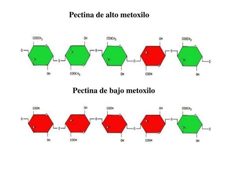 PPT Tecnologia De CMC Gomas Alimenticias Y Pectinas PowerPoint