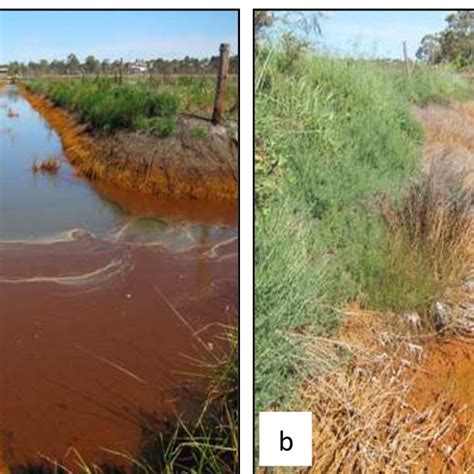 Polluted Farmland Drains Near Murray Bridge South Australia With Iron