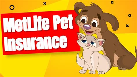 Unveiling The MetLife Pet Insurance Record A Comprehensive Overview