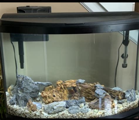 Gallon Bowfront Top Fin From Petsmart Reef Reef