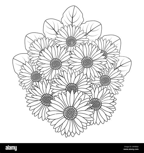 Chamomile And Daisy Flower Coloring Page Design With Detailed Line Art