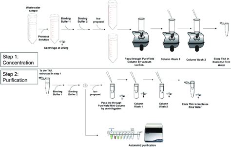 Schematic Overview Of The Direct Capture Nucleic Acid Purification Process Download