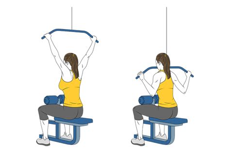 Hipertrofia I Espalda Biceps Entrenamientos Y Ejercicios