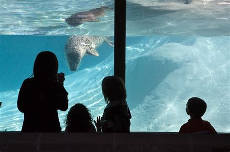 Alaska Zoo | Anchorage Attractions & Things To Do | ALASKA.ORG